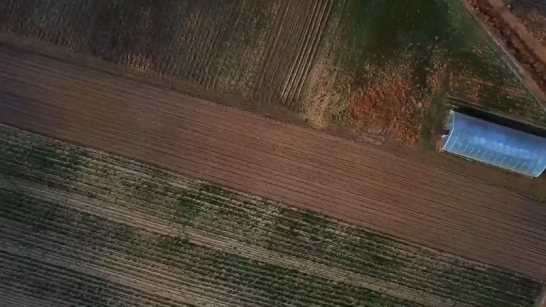 videoframe_0 (1)